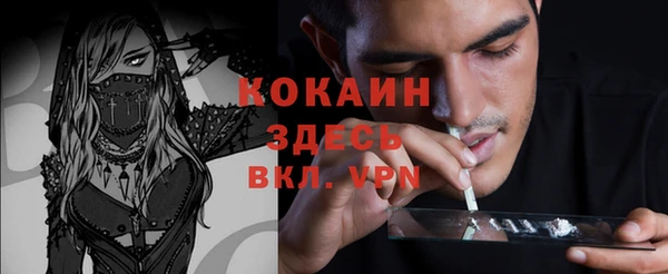 apvp Алзамай
