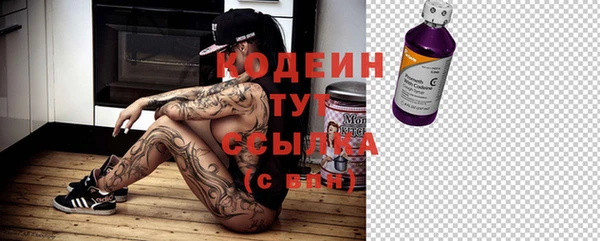 прущие грибы Алексеевка