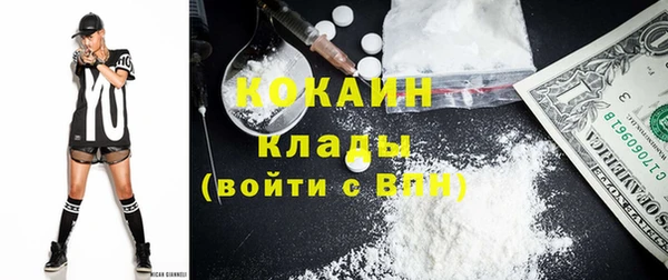 apvp Алзамай