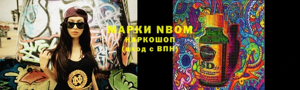 apvp Алзамай