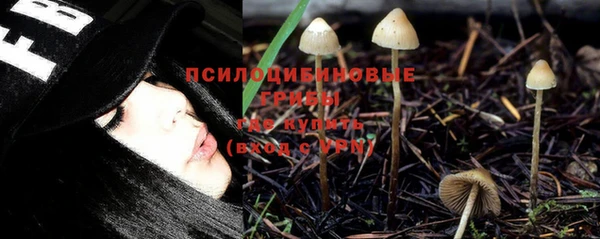 apvp Алзамай