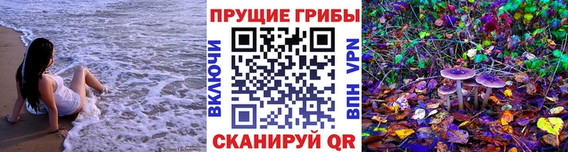 Галлюциногенные грибы прущие грибы  Чайковский 